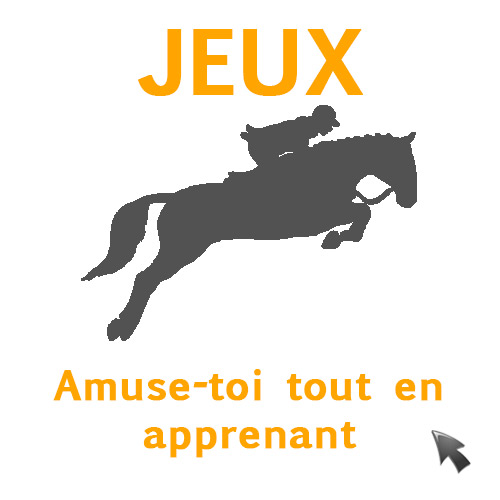 Exercice galop 3 - TwoL&Chevaux
